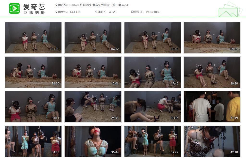 SJ0670 胜景影视 营救失败风波（第二集[20250509-153833555].jpg