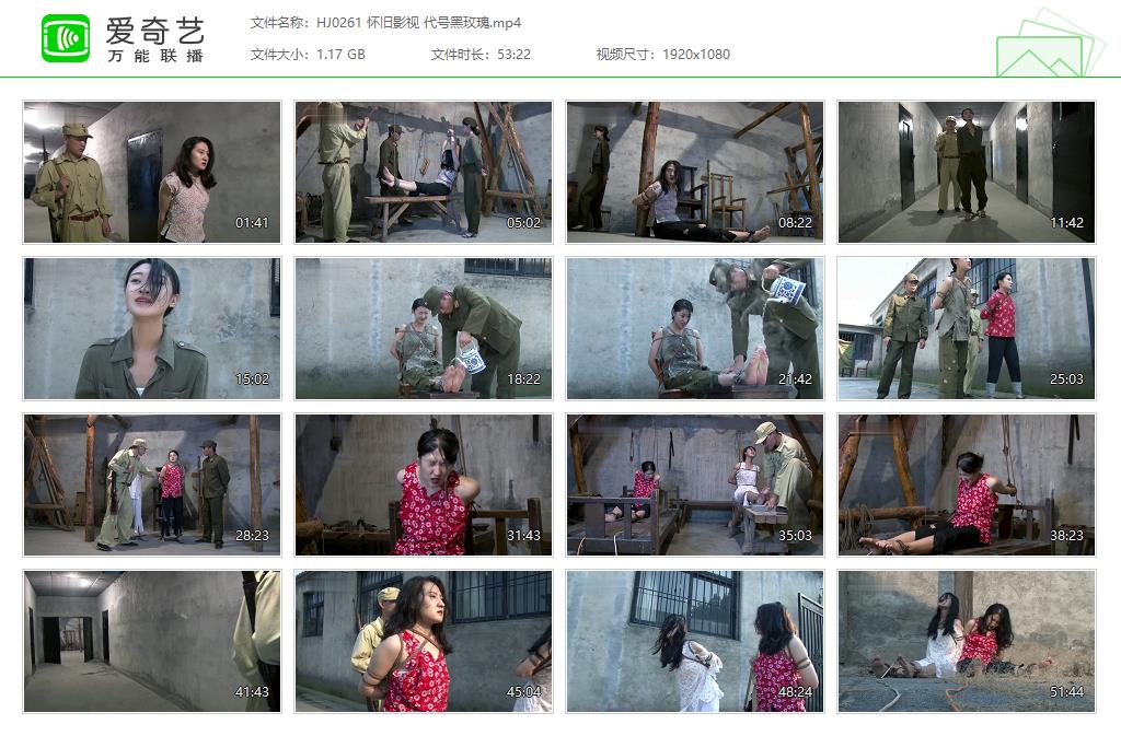 HJ0261 怀旧影视 代号黑玫瑰[20250509-134221576].jpg