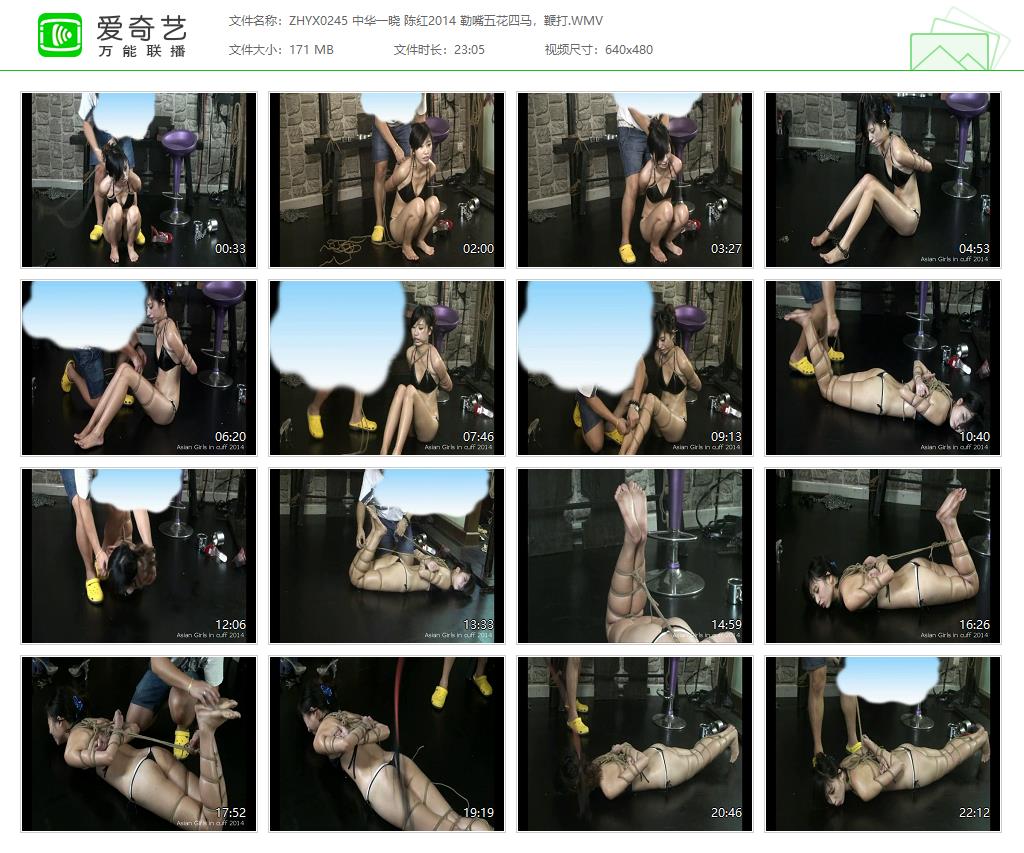 ZHYX0245 中华一晓 陈红2014 勒嘴五花四马，鞭打[20250512-142358942].jpg
