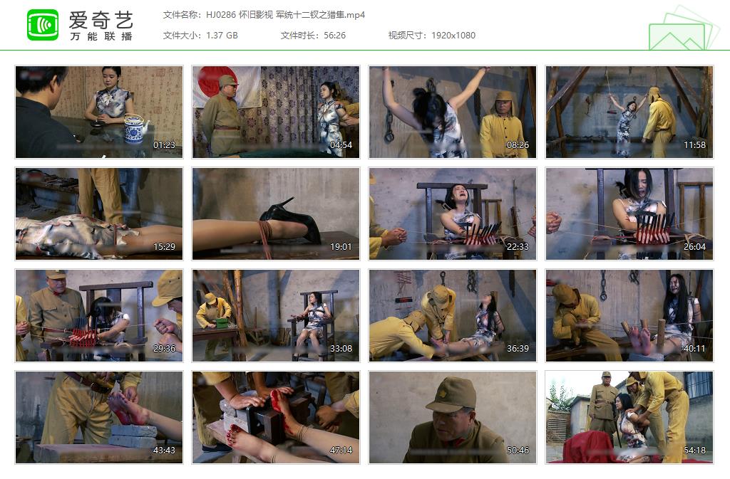 HJ0286 怀旧影视 军统十二钗之猎隼[20250509-134738133].jpg