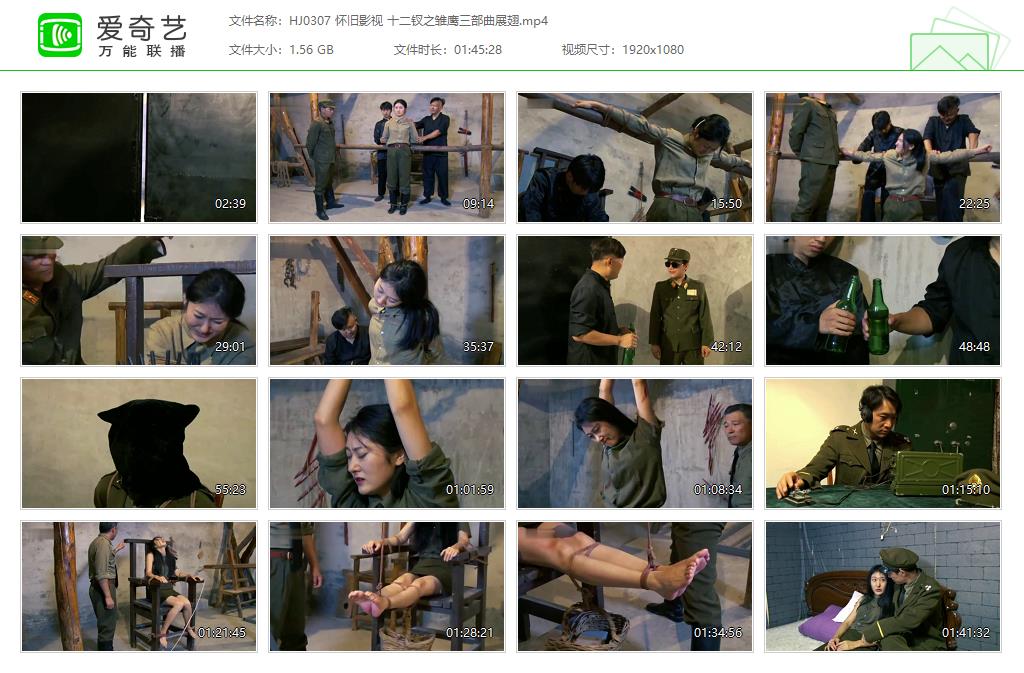 HJ0307 怀旧影视 十二钗之雏鹰三部曲展翅[20250509-135500814].jpg