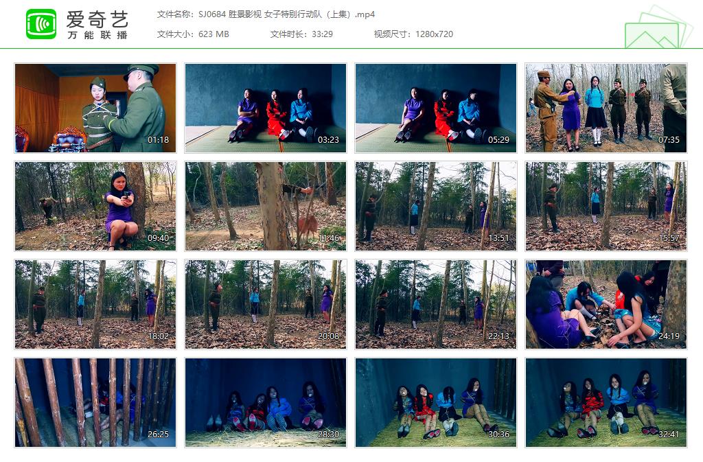 SJ0684 胜景影视 女子特别行动队（上集）[20250509-154307338].jpg