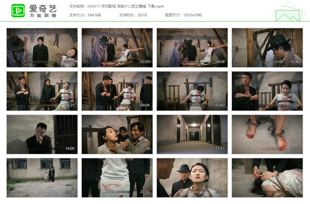 HJ0317 怀旧影视 军统十二钗之雕枭 下集[20250509-135751160].jpg