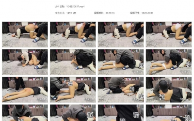 雨辰工作室_训犬实录之汐汐的圈养日记 第四集