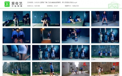 胜景影视_红颜殇 下集 几名女毒枭全部落网，押入刑...