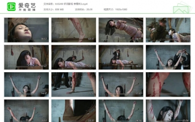 怀旧影苑_李青林3