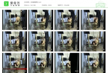 美丽城堡_冷姝旗袍驷马