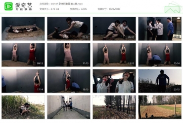 胜景山庄_卧底的遭遇 第二集