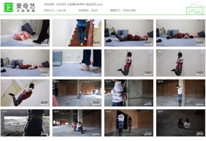 半岛束艺台_小老虎的本命年+逃出生天