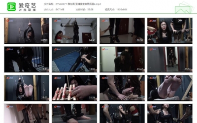 新雅俗阁_紧缚搜查官黑狐狸2