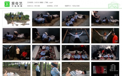 胜景影视_诱捕2（下集）