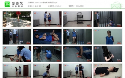 新雅俗阁_梦想成真