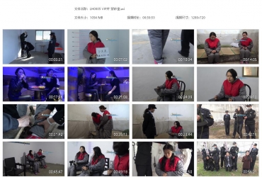 梨花雨_VIP片 紫砂壶