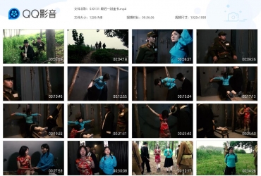 胜景山庄_最后一封血书