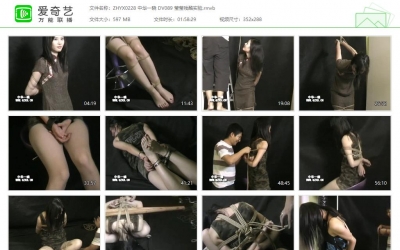 中华一晓_DV089 莹莹残酷实验