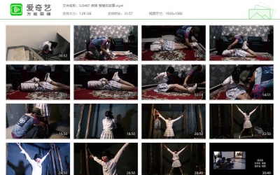 胜景影视_绑架 慧慧的故事