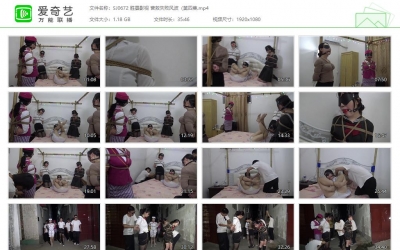 胜景影视_营救失败风波（第四集