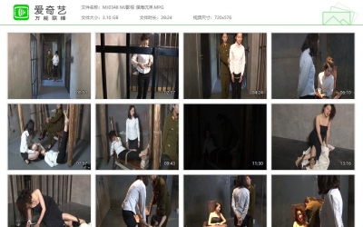 MJ影视 谍海沉浮