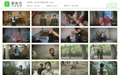 怀旧影苑_去影2023版 下