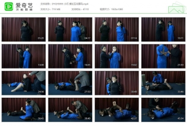 典雅倩影_小巧 紫红五花驷马