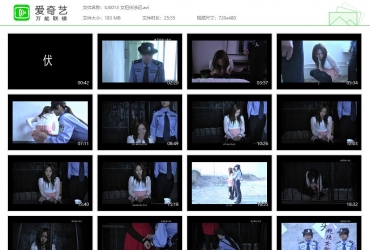 胜景山庄 女犯伏法记