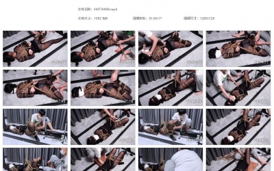 涵涵特辑_驷马放置 DB震动高C 开腿放置固定 ZDB和炮J一起使用