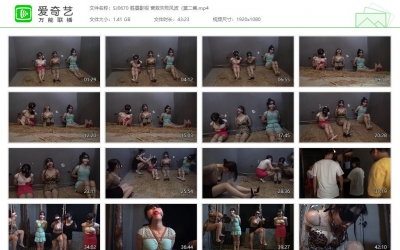 胜景影视_营救失败风波（第二集