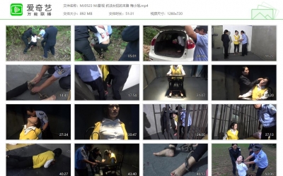 MJ影视 抗法女犯的末路 梅小旭