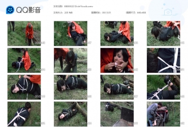 Born To Be Bound 0022 Dixie Woods