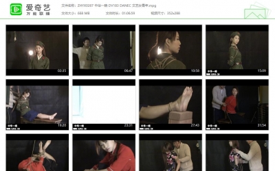 中华一晓_DV183 DANEC 文艺女青年