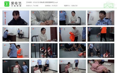 新雅俗阁_狡猾狐狸落网记