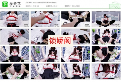 嗷大喵工作室_萝莉遇险记 第十一集