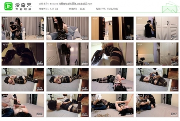 半岛艺束台_流星在性感的道路上越走越远