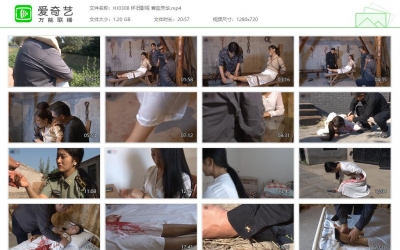 怀旧影苑_碧血芳华