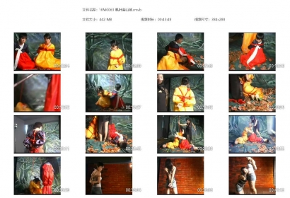 完美风暴 枫叶满山坡