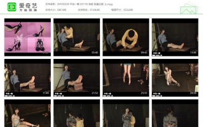 中华一晓_DV178 怡宝 赴美之前 上