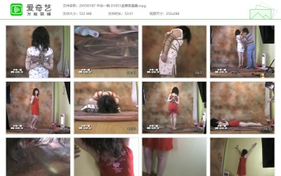 中华一晓_监禁奈美惠