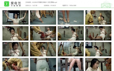 怀旧影苑_军统十二钗之青鸾