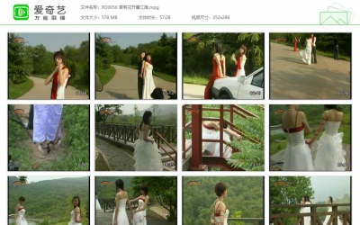 锐度主张_茉莉花开馨江南