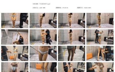 雨辰工作室_见见受刑实录 下集