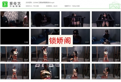 胜景影视_五集连续剧脱逃04