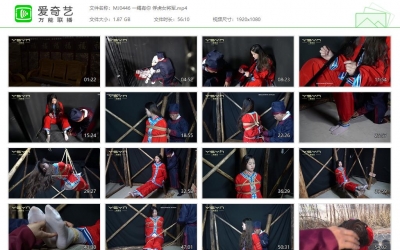 一绳有你 俘虏女将军