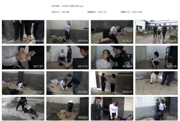 梨花雨_悲惨女谍