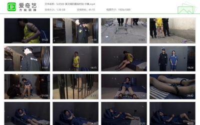 胜景影视_吴文娴的最后时刻 中集