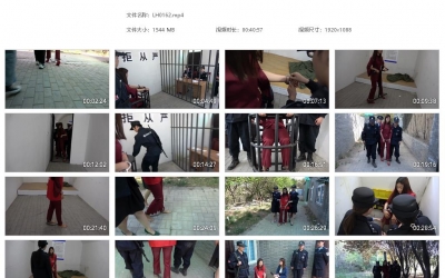 梨花雨_运输毒品犯周雪珊