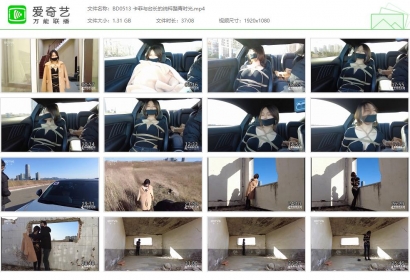 半岛束艺台_卡菲与台长的纯粹踏青时光