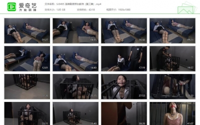 胜景影视_连续剧被俘女教师（第三集）