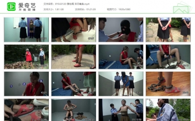 新雅俗阁_末日毒枭