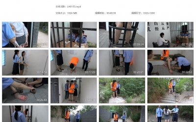 梨花雨_梨花雨_程茜