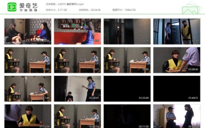 胜景影视_毒贩落网3